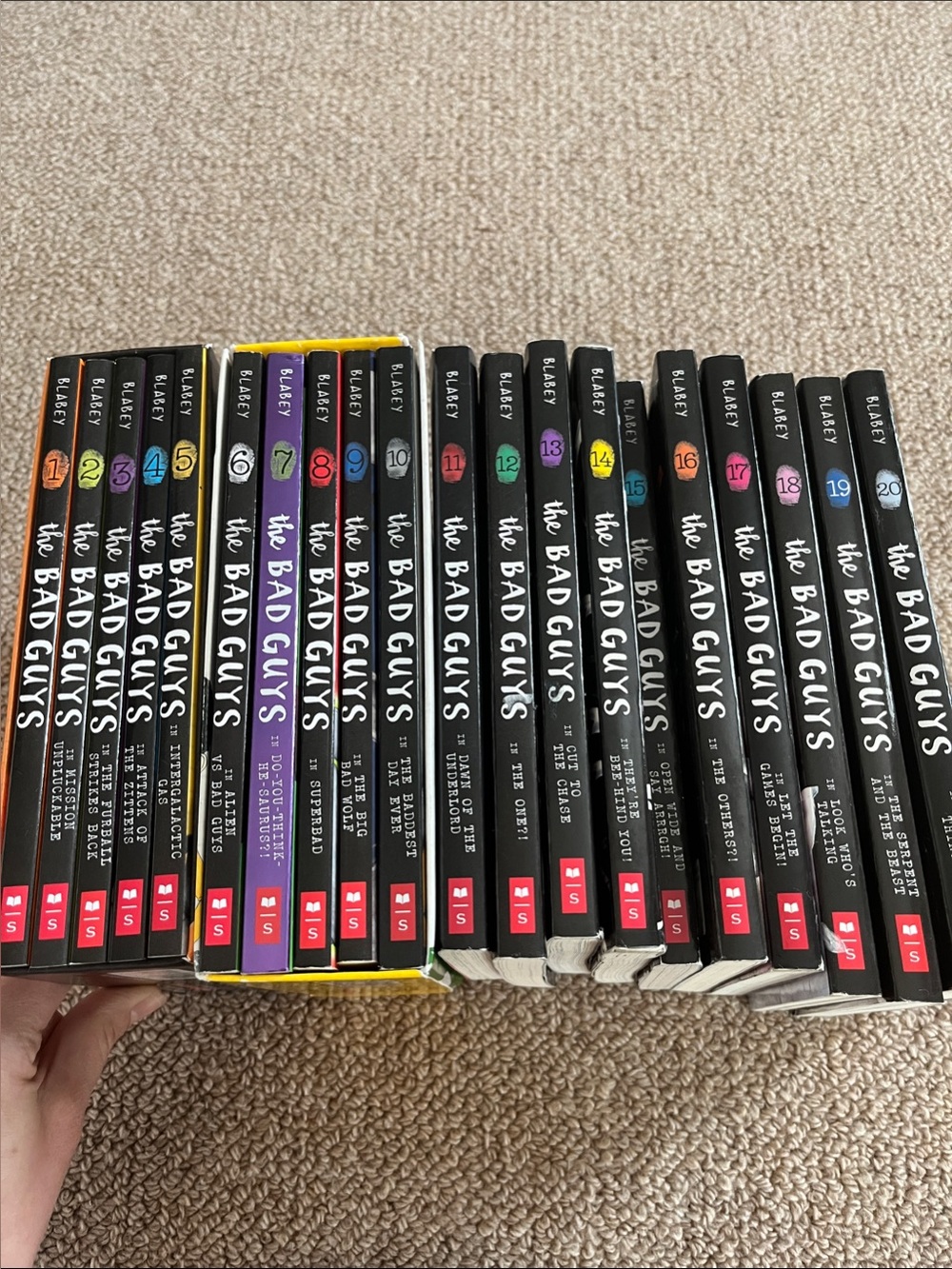 The Bad Guys Chapter Book Set of 20- Books 📚